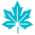 maple leaf icon